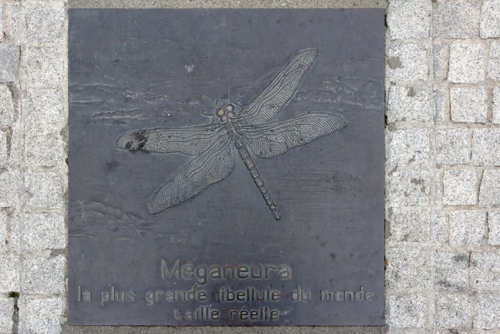 Plaque commémorative de Commentry représentant la libellule géante Meganeura.