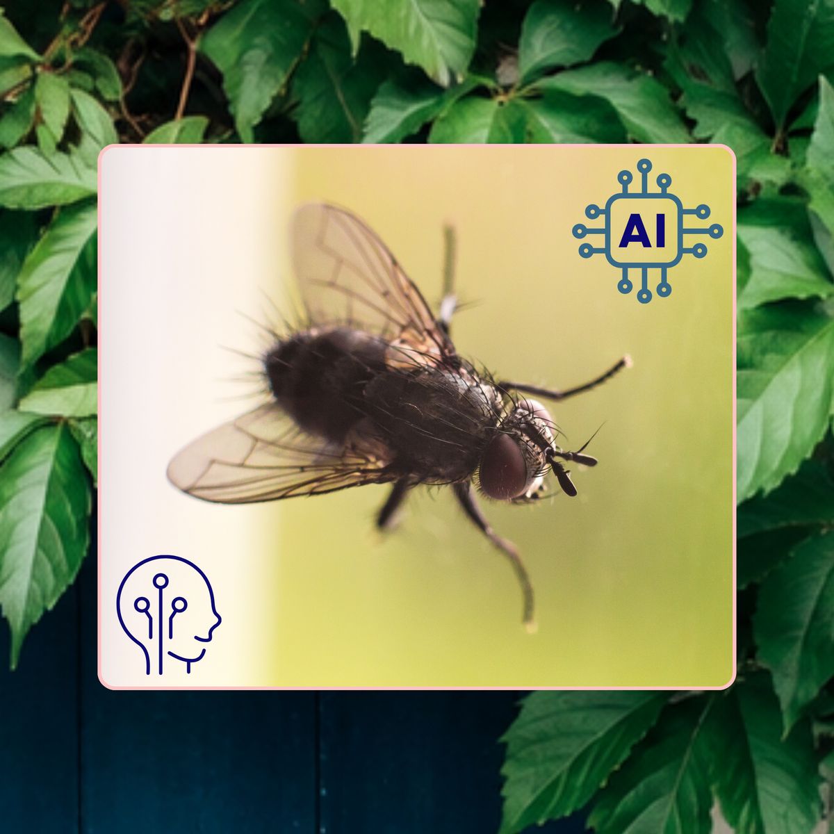 Une mouche en vol entourée de pictogrammes d’intelligence artificielle.