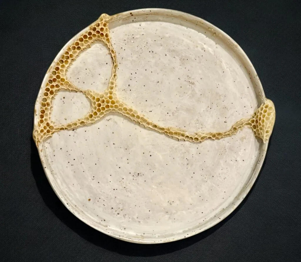 Plat en porcelaine fissuré, réparé par des lignes de cire d’abeille alvéolée.