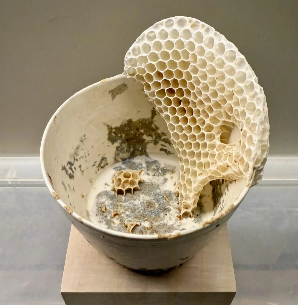 Bol en porcelaine dont l’intérieur est recouvert d’un rayon de cire construit par des abeilles.