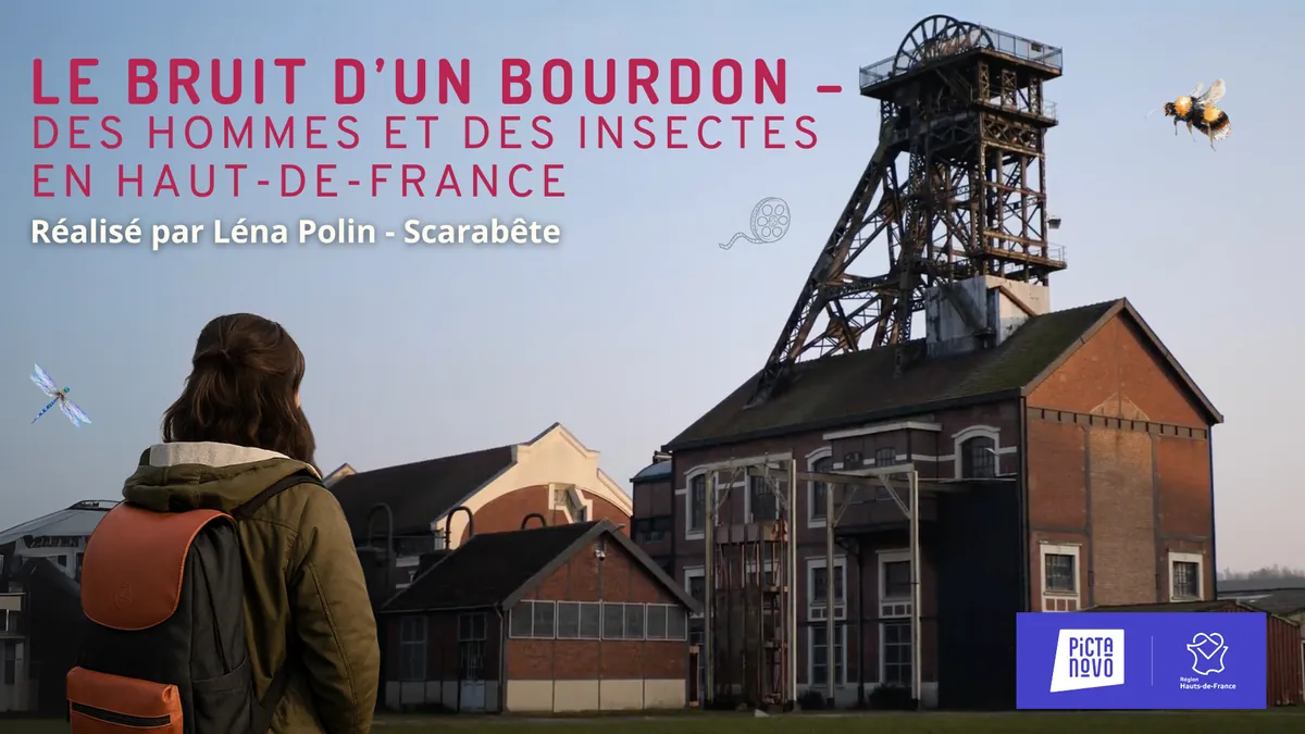 Affiche du documentaire Le Bruit d’un Bourdon, des Hommes et des insectes en Hauts-de-France.
