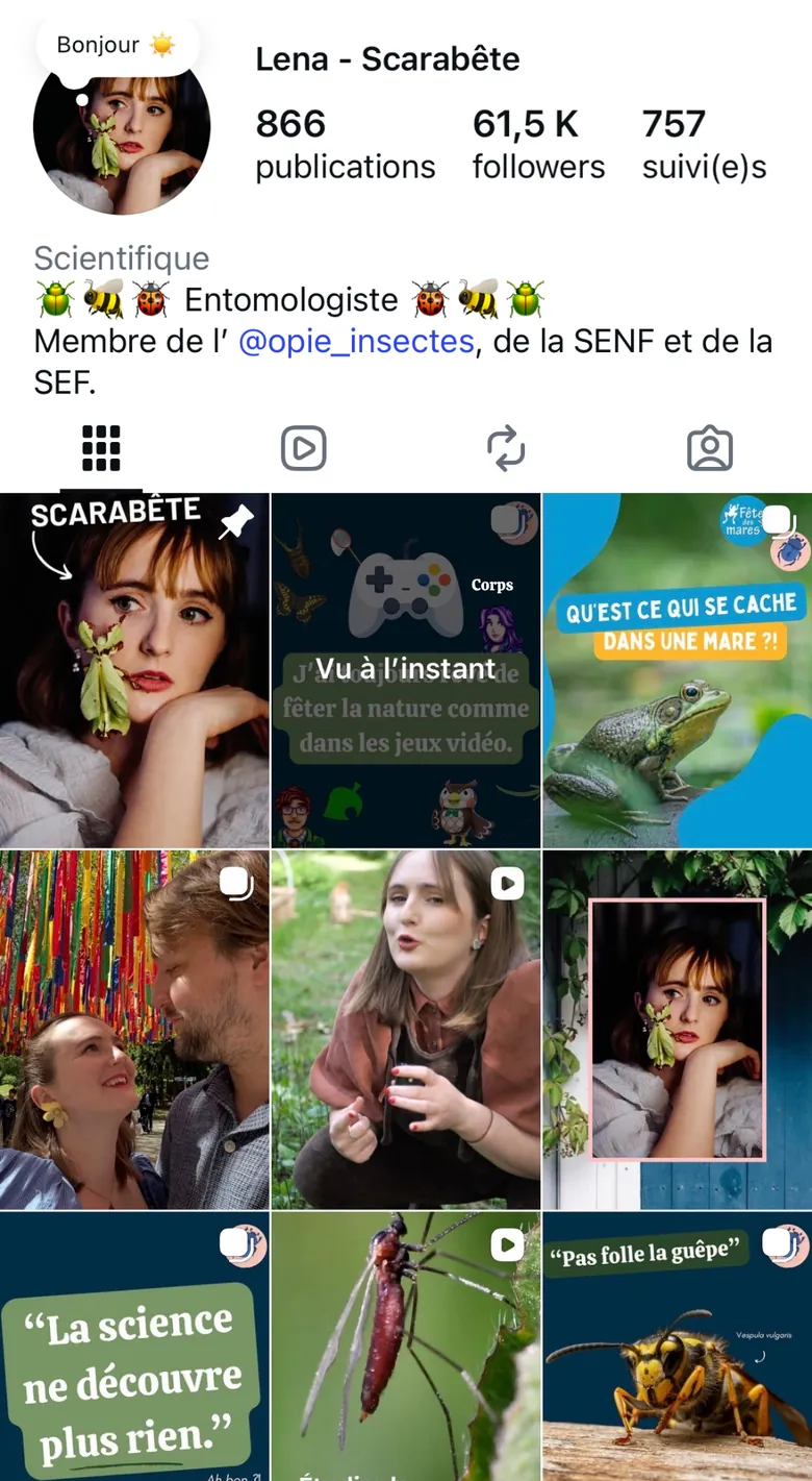 Aperçu du profil Instagram et des publications de Scarabête (ouvre Instagram dans un nouvel onglet).
