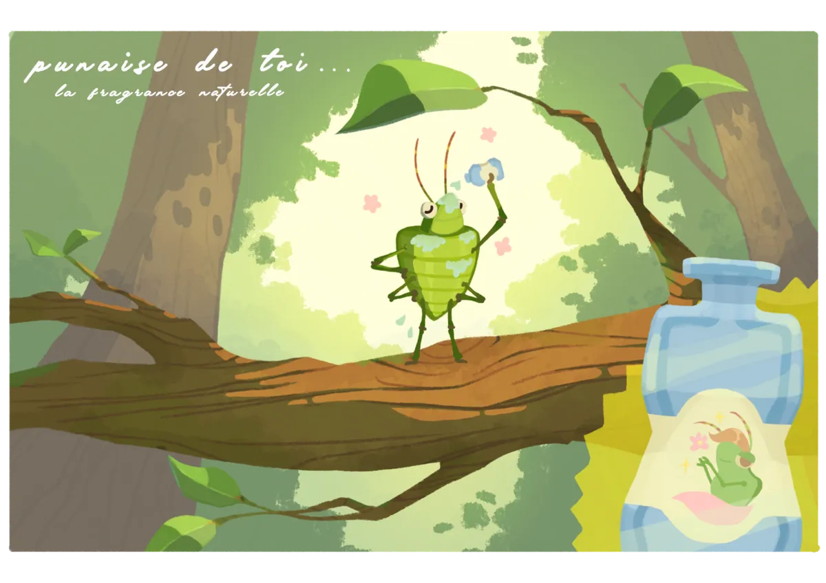 Illustration d’une punaise verte sur une branche, créée par Thelma Michalet.