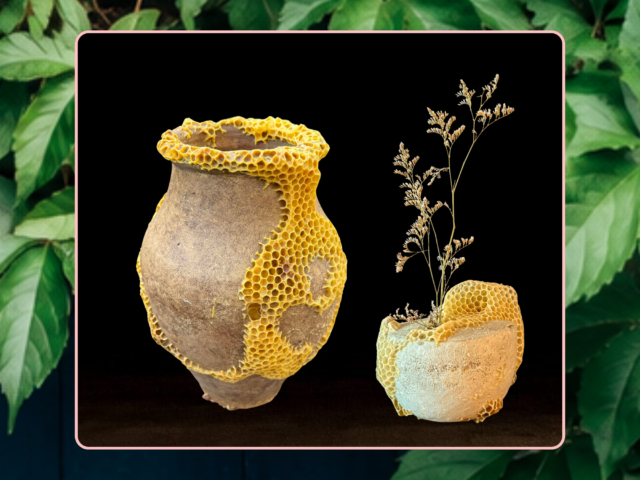 Quand les abeilles réparent la porcelaine : les sculptures « Kintsu-Bee » d&rsquo;Ava Roth