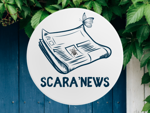 Bienvenue sur Scara’News 🪲